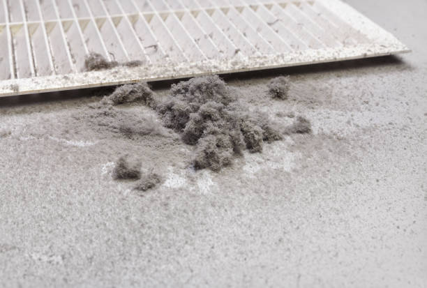 Best Commercial Air Duct Cleaning  in Stearns, KY